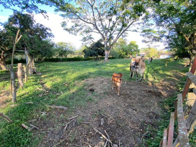 FINCA en el Barrio Santa Ana de Cartago