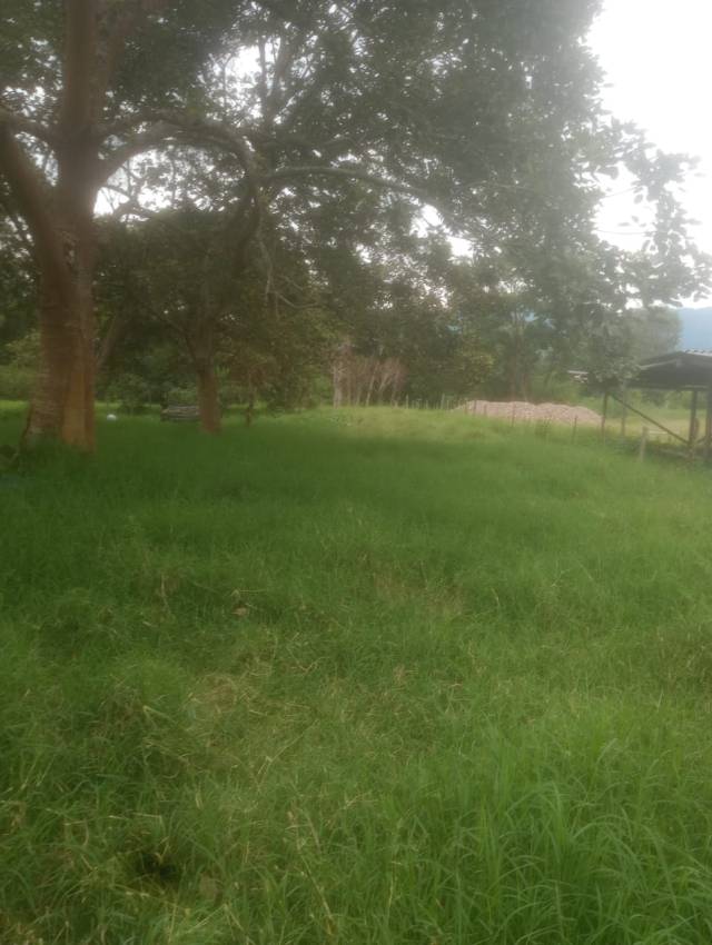 Venta de Lote Campestre - Pitalito, Huila