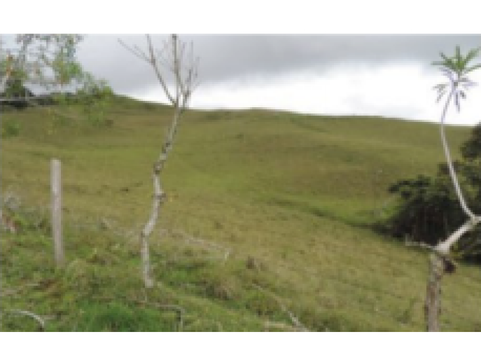 Lote rural El Encanto -Campoalegre, Versalles - Valle del Cauca.