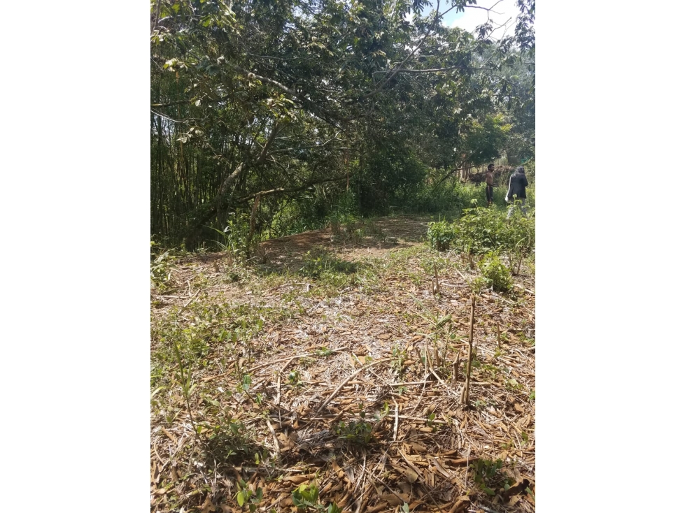 Lote KM 26 vía Antigua al Mar