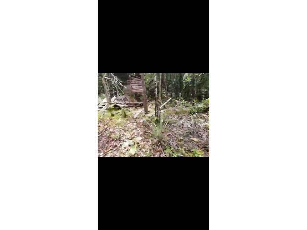 LOTE BUENAVENTURA VÍA CALIMA, PUERTO AGUA-DULCE
