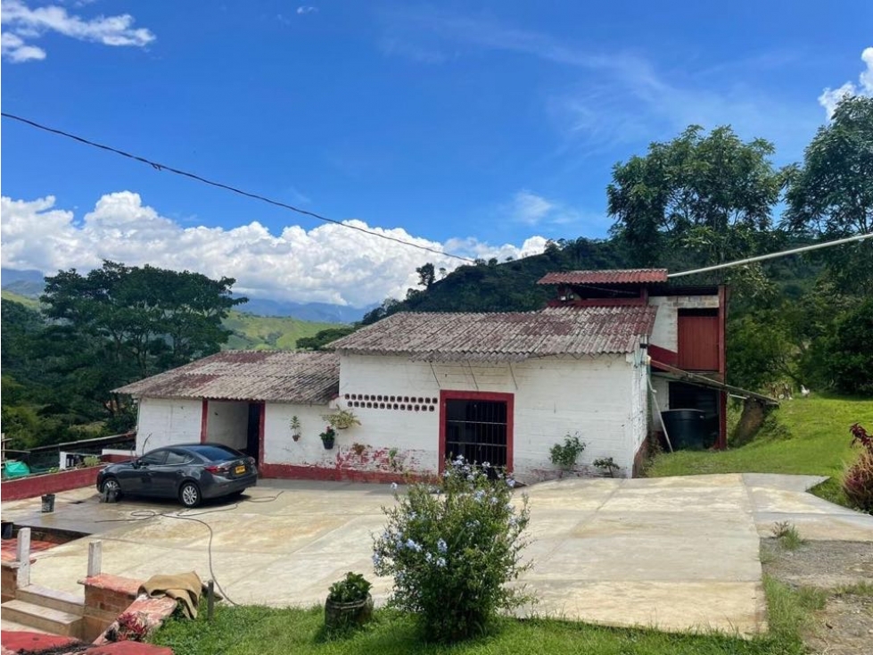 Finca cafetera en venta en Andes - Antioquia