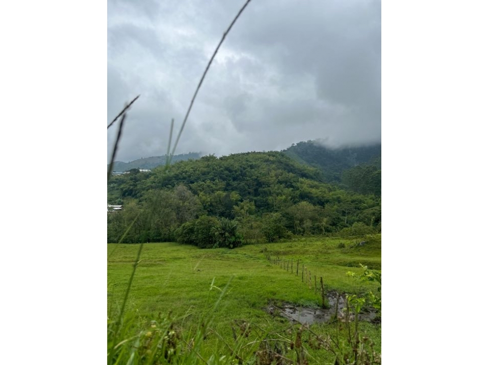 VENTA ESPECTACULAR LOTE LA FLORIDA-RISARALDA